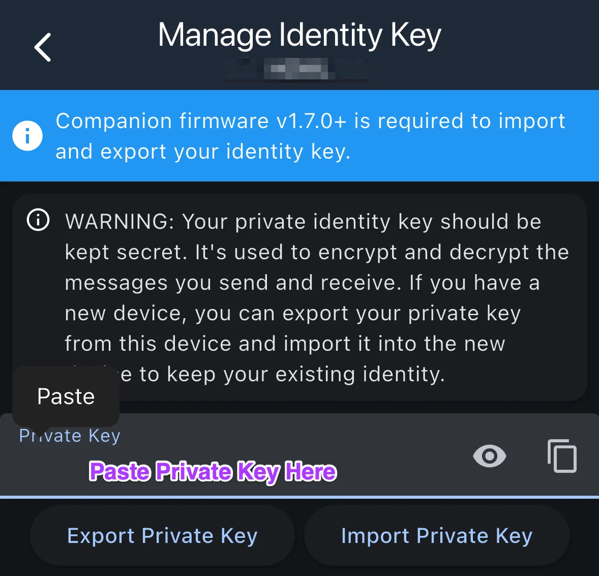 Private key input field with sample key pasted