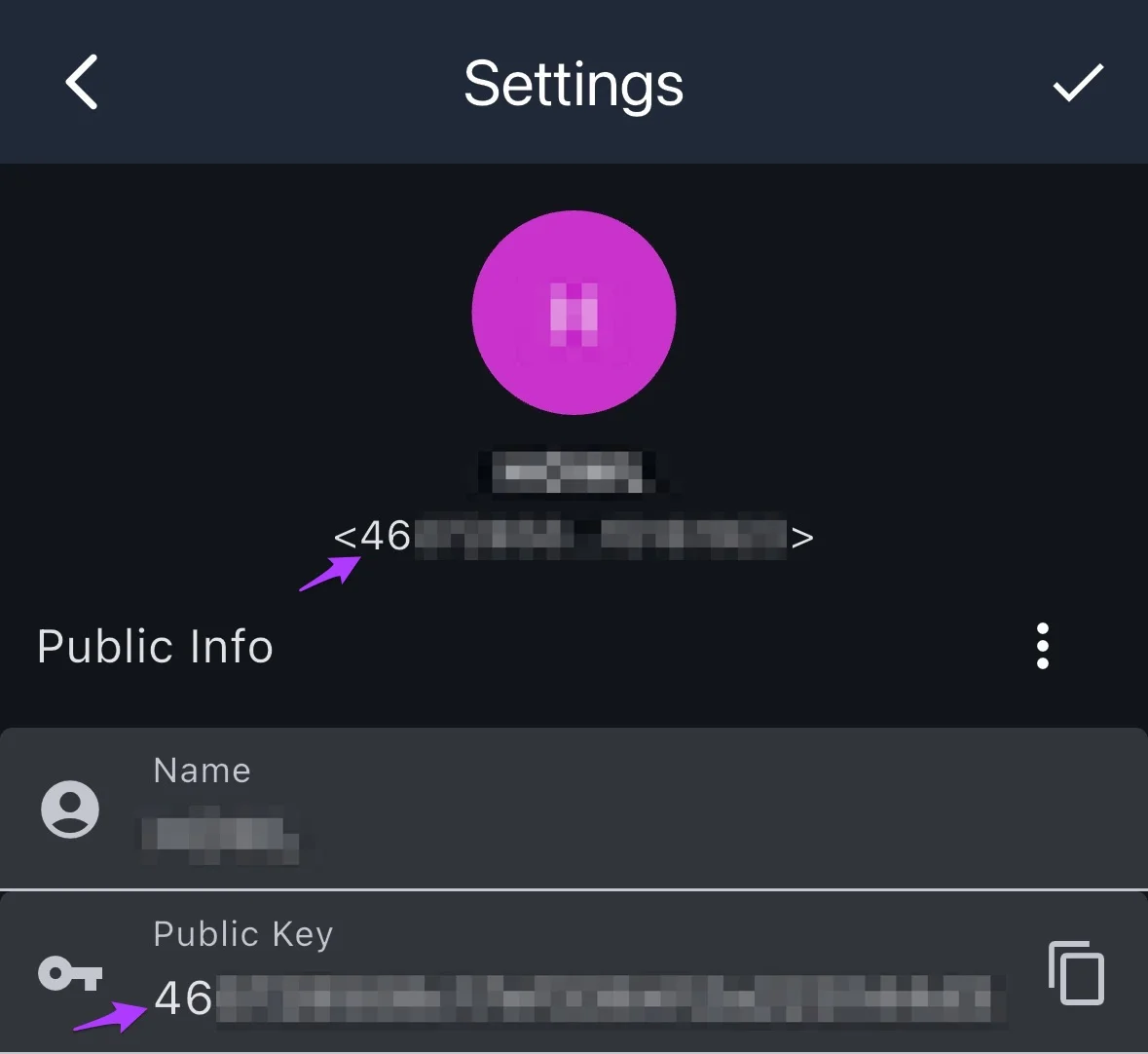 Main screen showing new public key with prefix highlighted