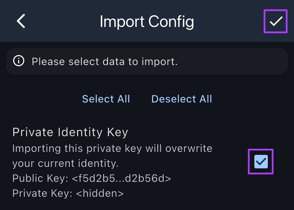 Import Config button highlighted