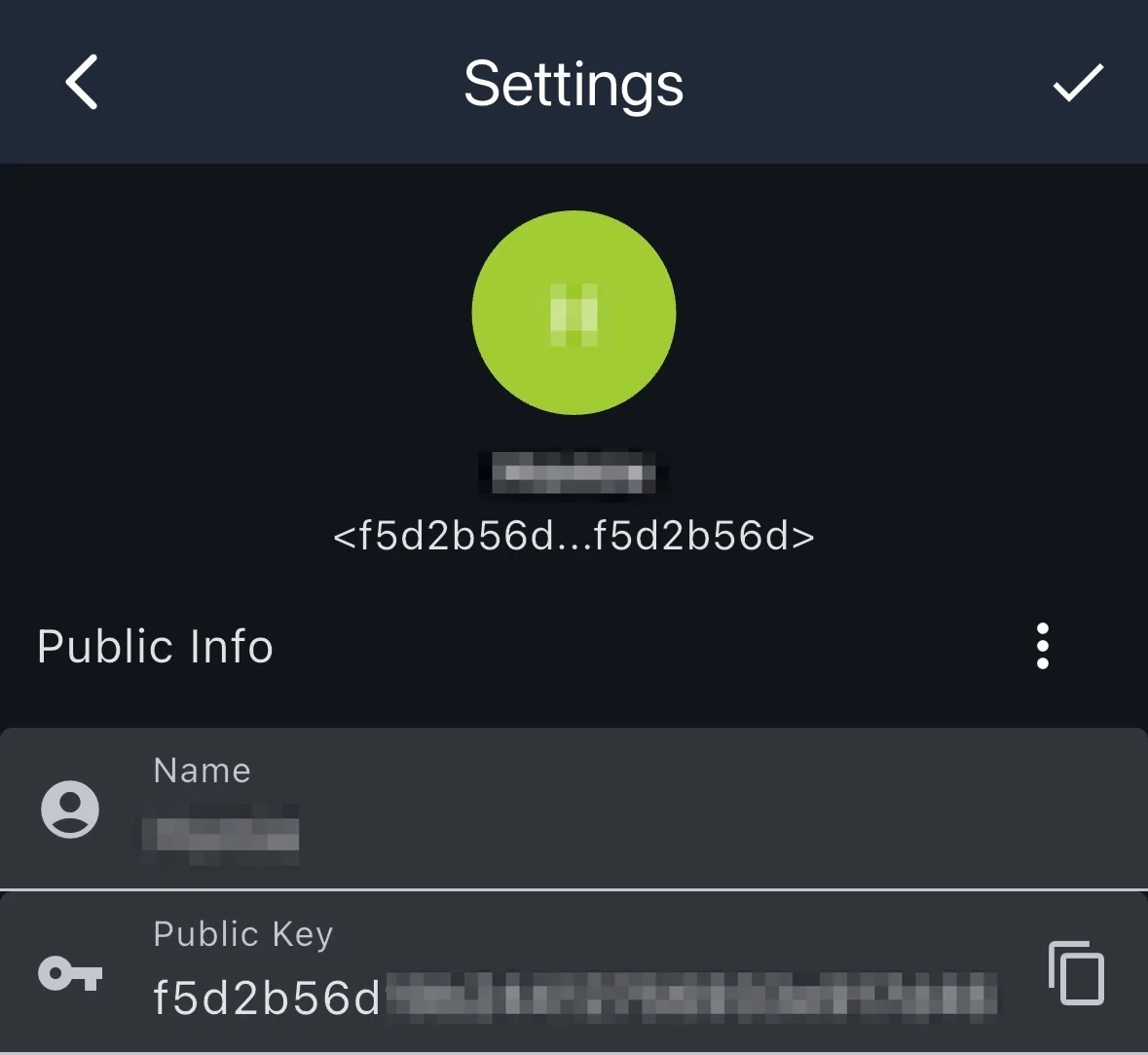 Main screen showing new public key with prefix highlighted